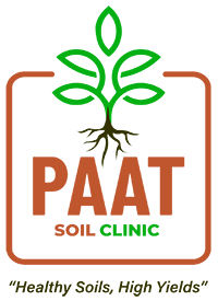 Logos Cloud Edge LimitedAFRICA Website Client - PAAT